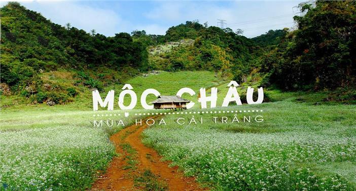 Tour du lịch Hà Nội Mộc Châu mùa hoa cải trắng